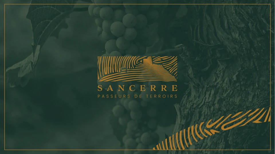 Identité visuelle de l'appellation Sancerre, Passeurs de Terroirs