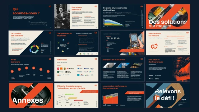 Identité visuelle de D-PHI – Ingénierie et conseil en énergie/carbone — visuel 13
