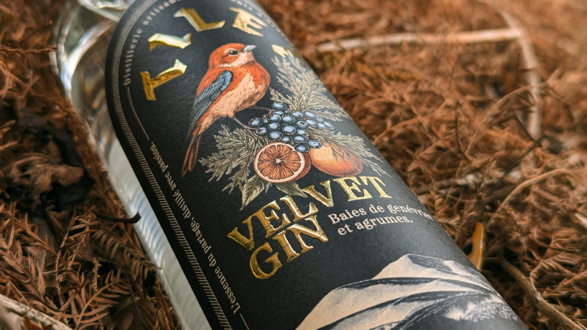 Bouteille de gin Velvet de la distillerie Tilet, étiquette noire illustrée d'un oiseau et d'agrumes, posée sur un lit d'aiguilles de pin