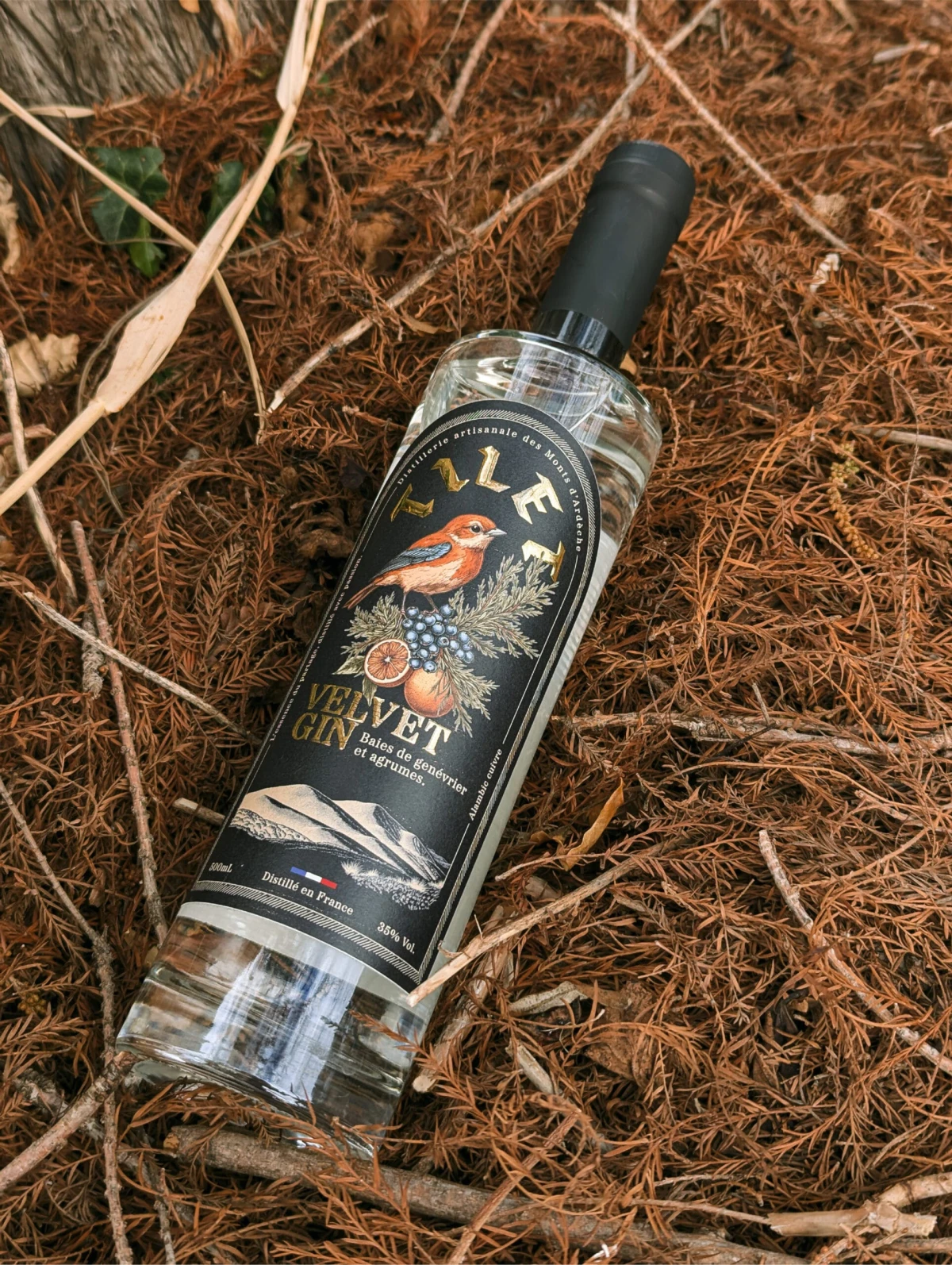 Bouteille de gin de la Distillerie Tilet, création du packaging par Bertrand Dejean