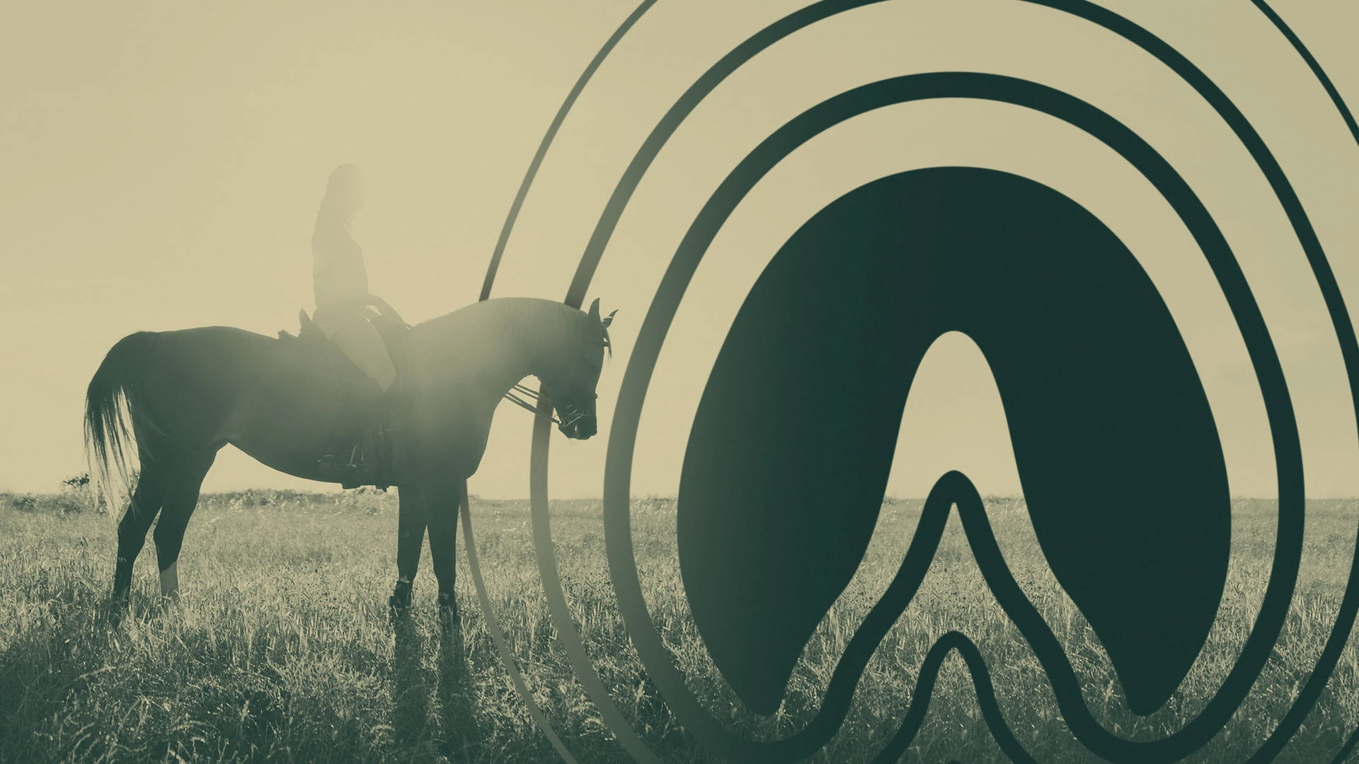 Visuel de couverture — Impulse, Horse Runners
