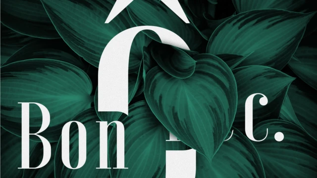 Visuel de couverture, Ô Bon Bec