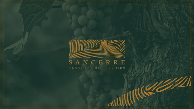 Identité visuelle de Sancerre – Passeurs de Terroirs — visuel 4