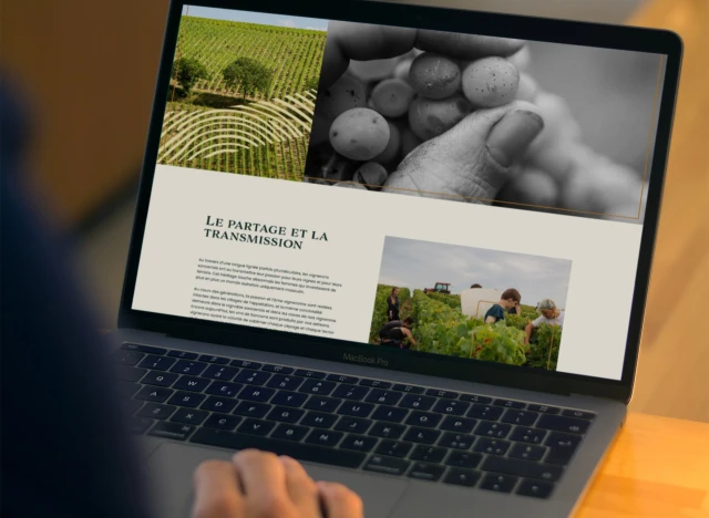 Identité visuelle de Sancerre – Passeurs de Terroirs, visuel 21