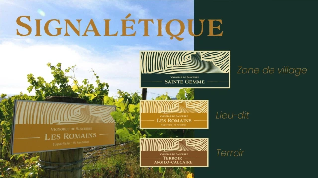 Identité visuelle de Sancerre – Passeurs de Terroirs — visuel 18