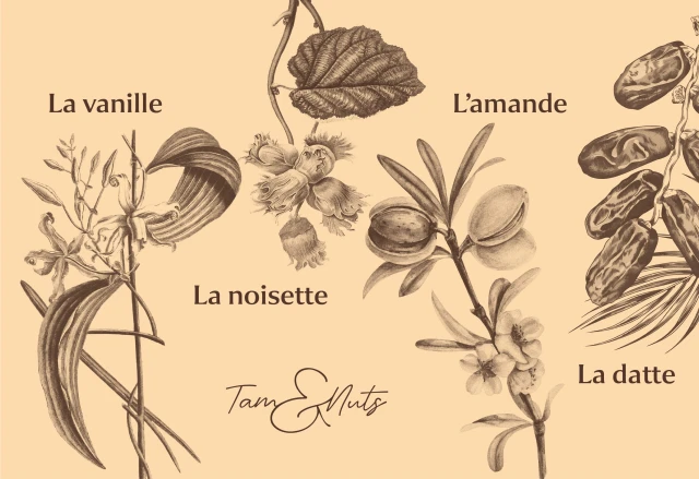 Identité visuelle de Tam&Nuts – Pâte à tartiner, visuel 13