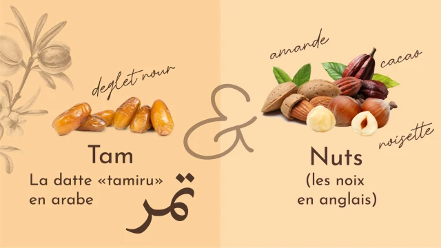 Identité visuelle de Tam&Nuts – Pâte à tartiner, visuel 2