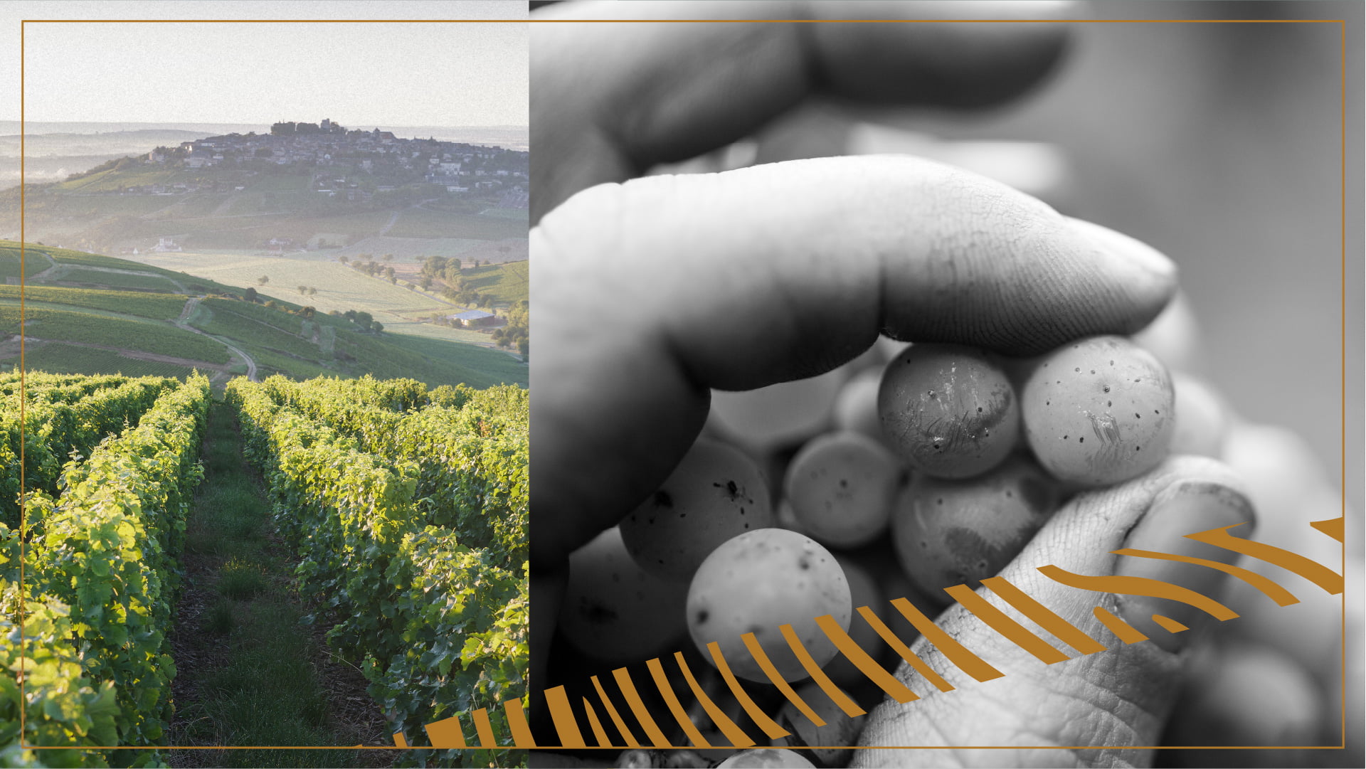 logo-identité visuelle Sancerre AOP - Passeurs de Terroirs - empreinte en situation