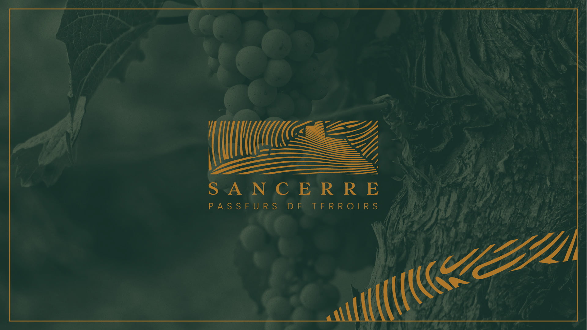 logo-identité visuelle Sancerre AOP - Passeurs de Terroirs - intro