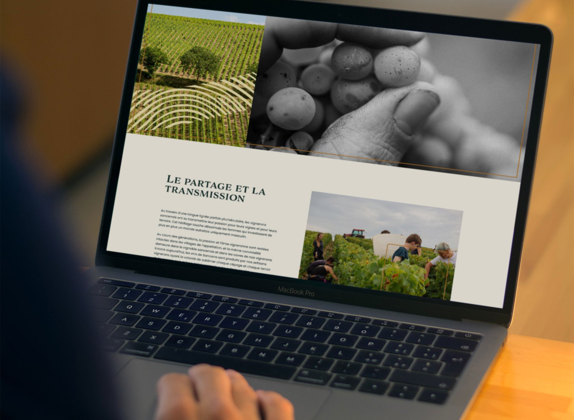 logo-identité-visuelle-Sancerre-AOP---Passeurs-de-Terroirs---site-web-ordinateur