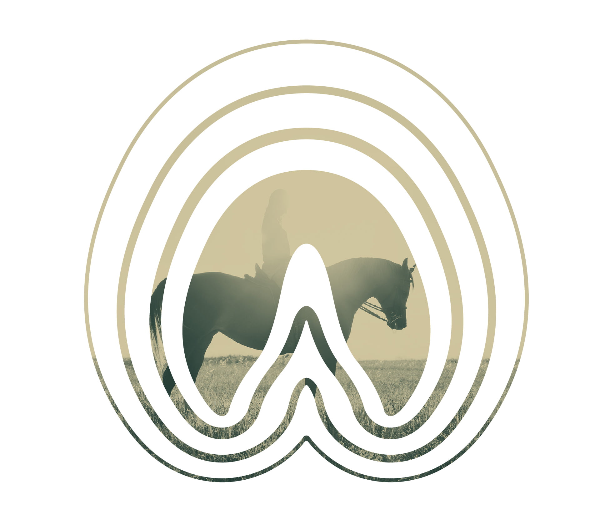 impulse logo masque photo