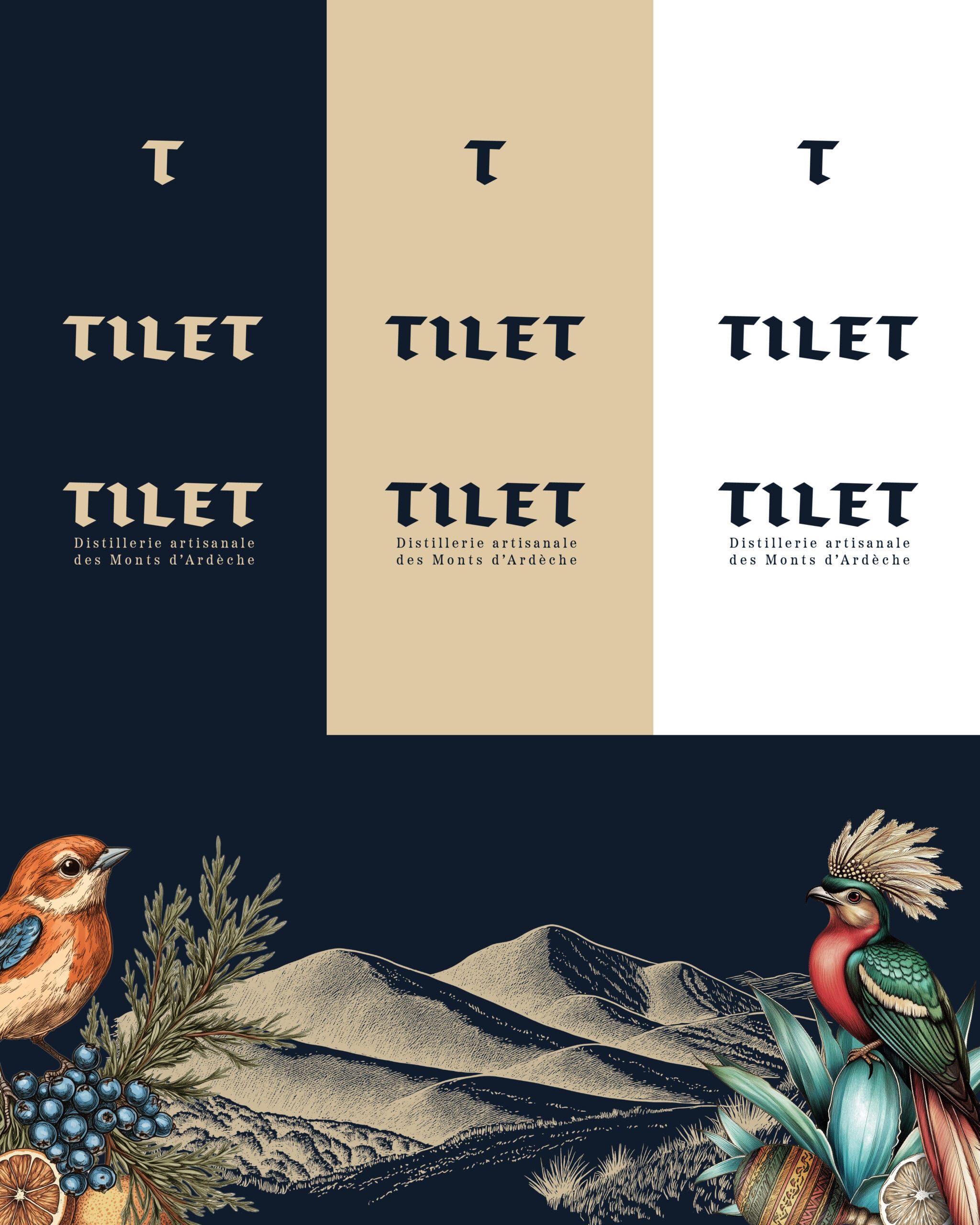 Distillerie Tilet - couleurs