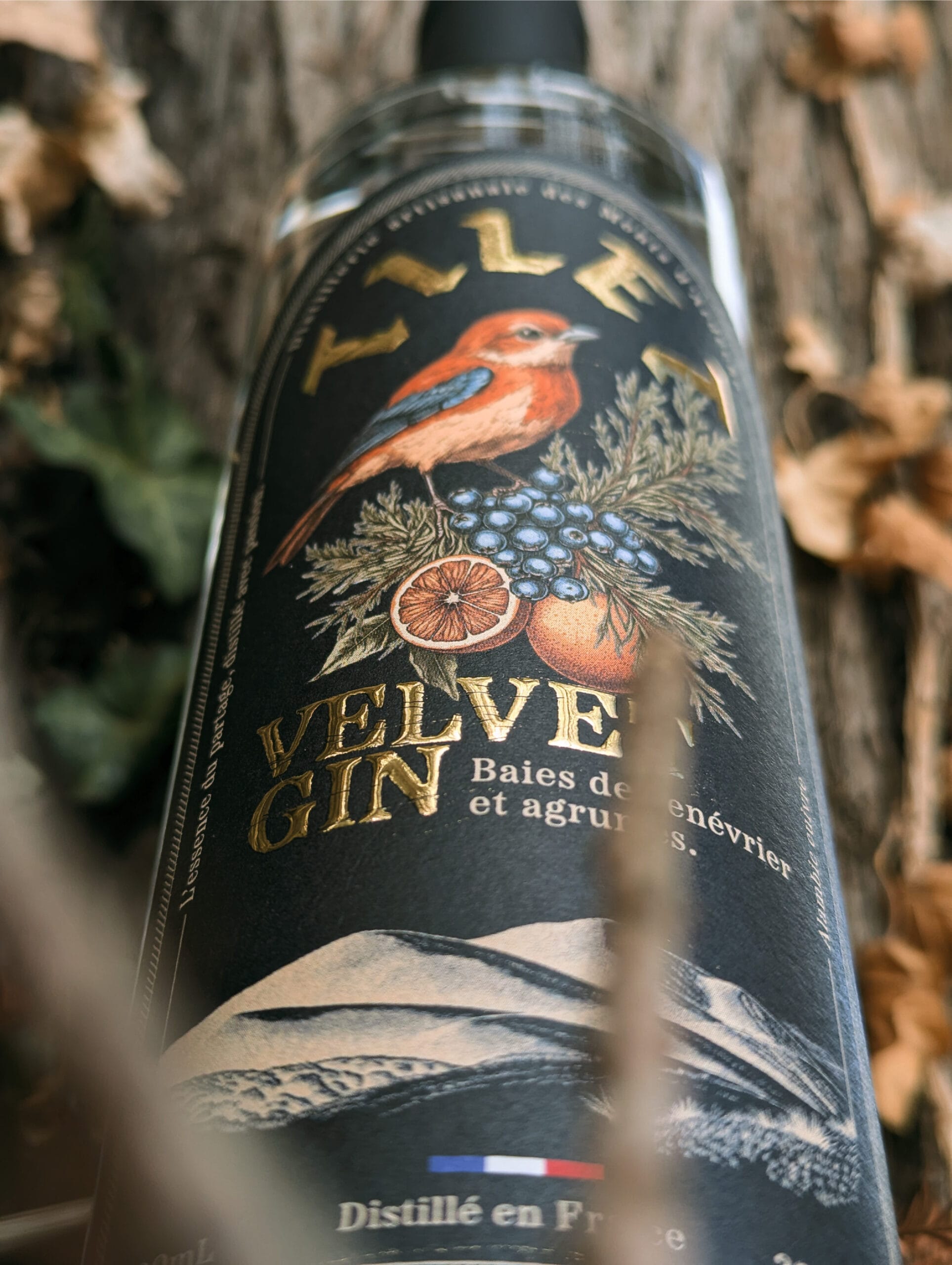 Distillerie Tilet - photo 5