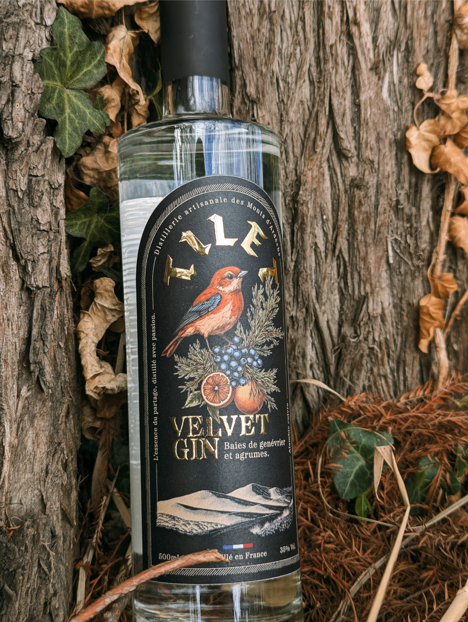 Distillerie Tilet - photo 6