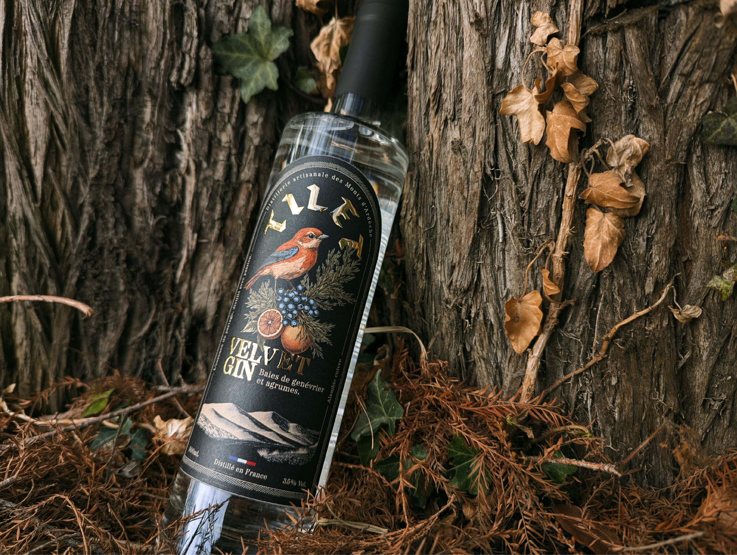 Distillerie Tilet - photo 8